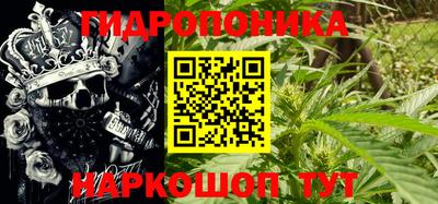 мяу мяу мука Бугуруслан