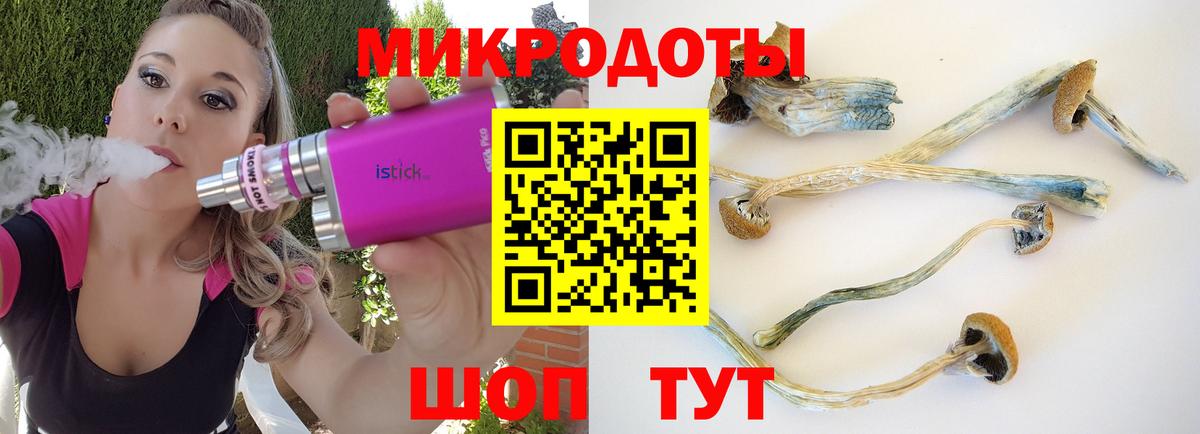 Галлюциногенные грибы Cubensis  Псилоцибиновые грибы Cubensis  Морозовск  Вход с VPN 